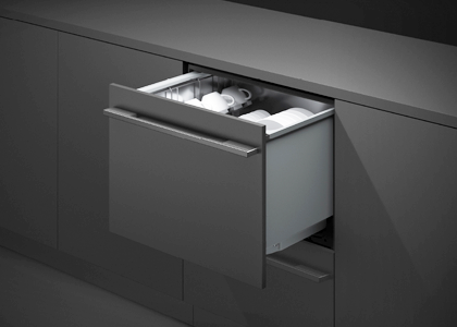 Fisher & Paykel